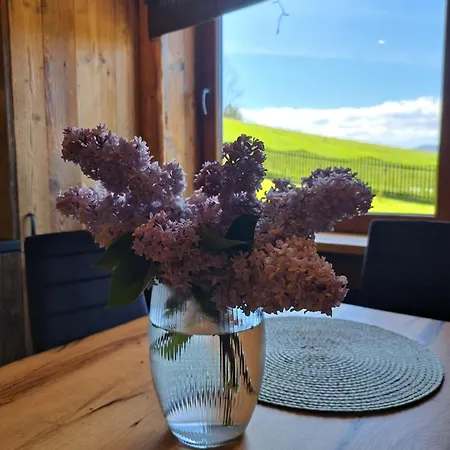 Casa de Férias Pod Sosnami